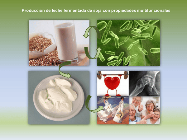 Lactic acid bacteria isolated from raw soymilk produce fermented soymilk with multifunctional properties